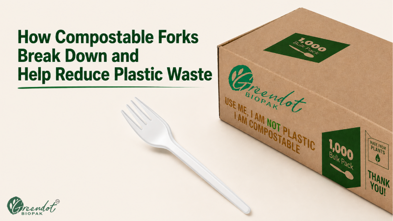 How Compostable Forks Break Down and Help Reduce Plastic Waste